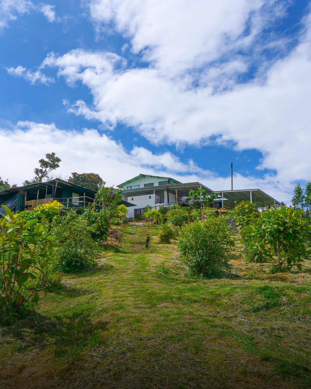 La casa de Renasie