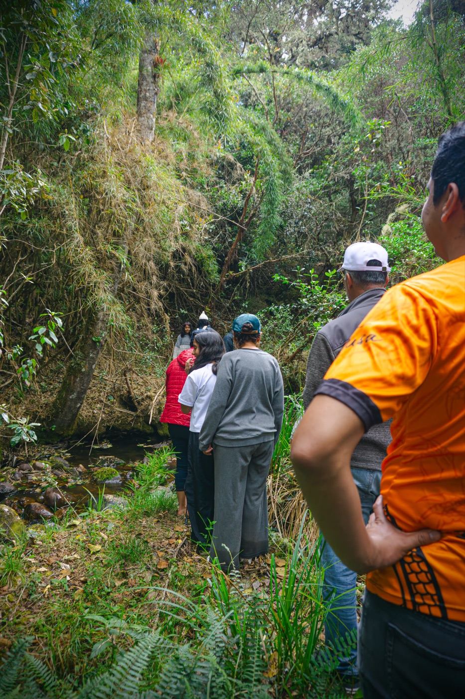 Grupo de visitantes recorriendo el sendero junto a la quebrada, en el bosque de niebla