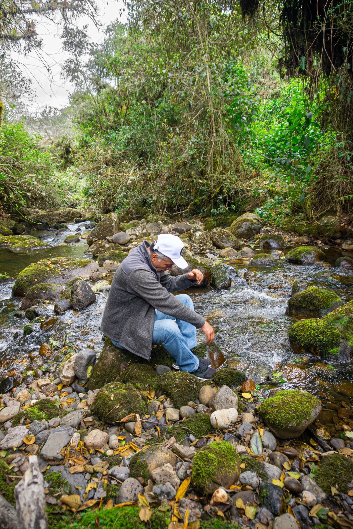 Visitante junto a la quebrada — actividad de conexión con la naturaleza