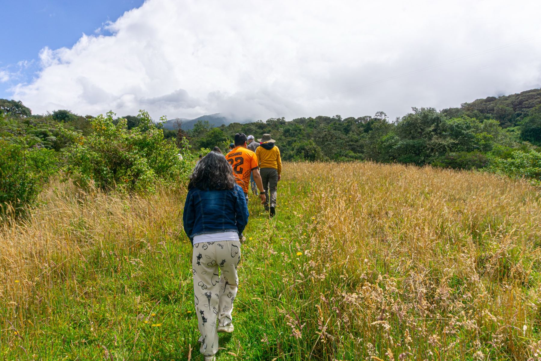 Grupo caminando por el pastizal del páramo — senderismo con almuerzo campesino