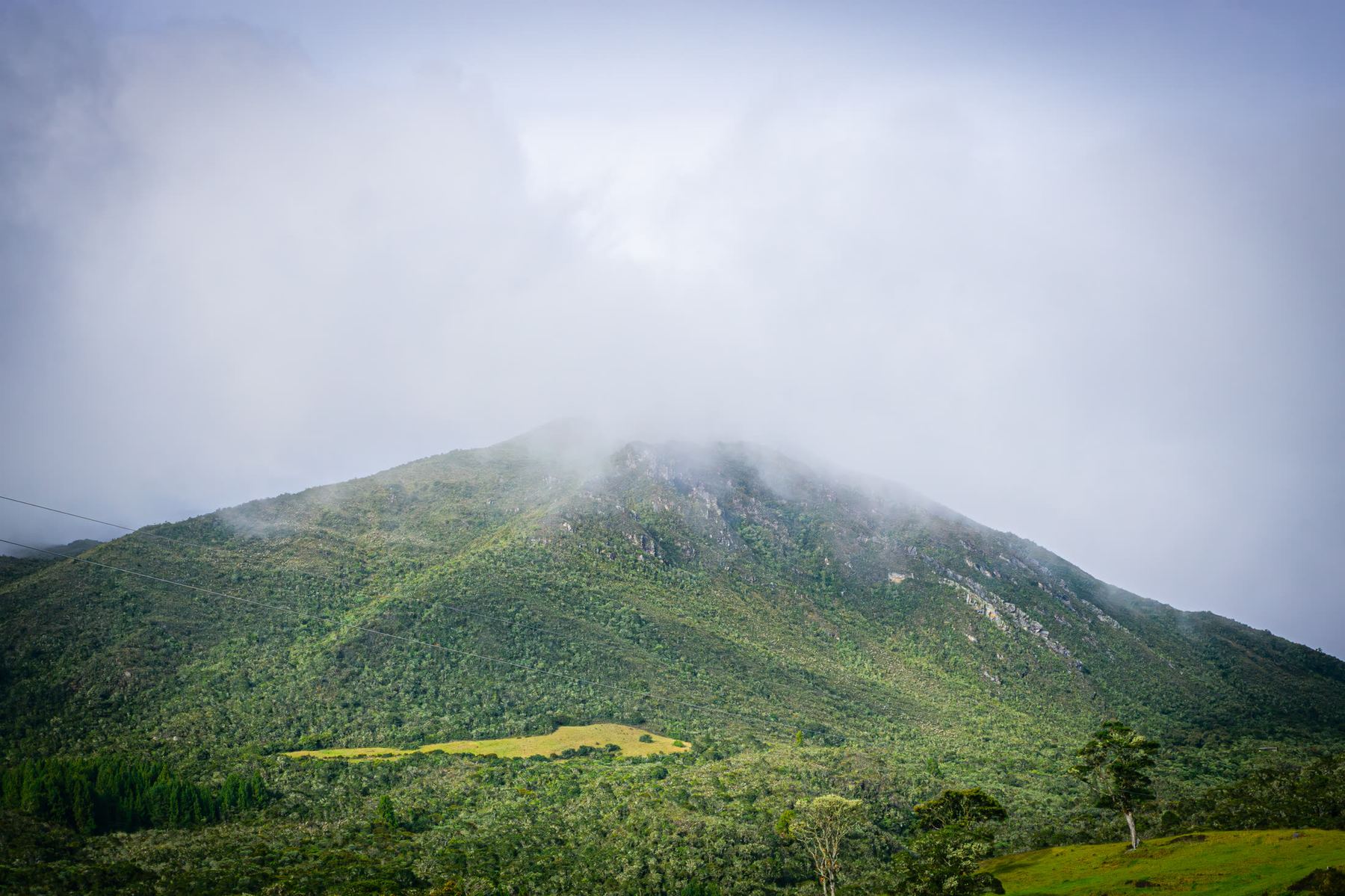 Quebrada de páramo entre piedras cubiertas de musgo